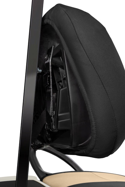 Canvas Black and Beige